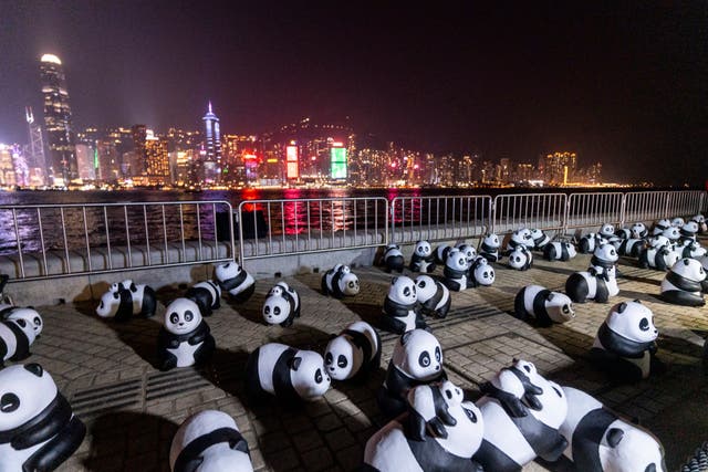 Hong Kong Panda Drone Show