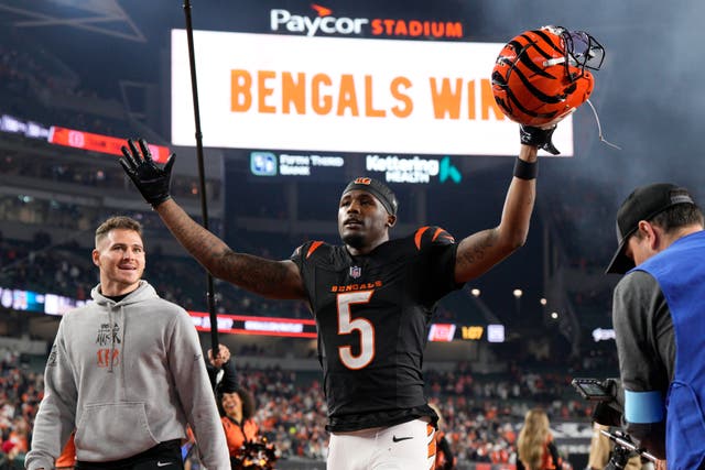 Cincinnati Bengals wide receiver Tee Higgins celebrates