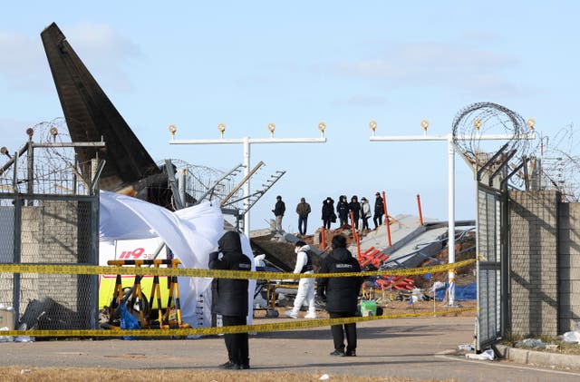 The tail fin of the plane is prominent at the crash site