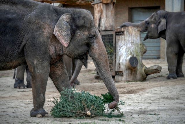 Germany Zoo