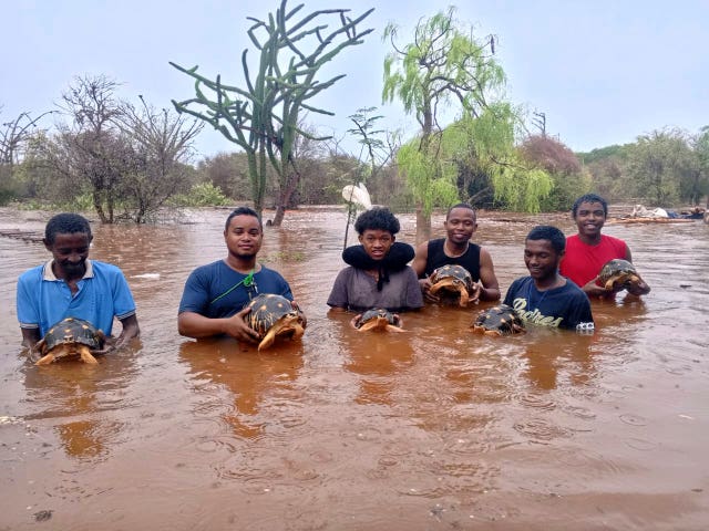 MadagascarTortoise rescue