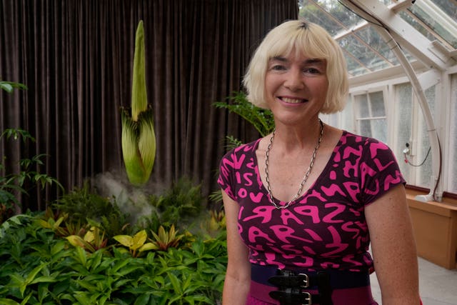 Sophie Daniel poses for a photo next to an endangered plant known as the 'corpse flower' for its putrid stink, at the Royal Botanical Gardens in Sydney, Australia 