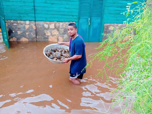 People wade through water to save tortoises