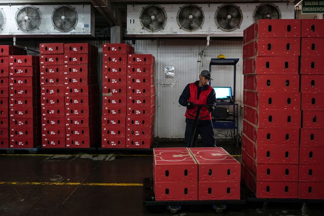 A worker organising boxes of flowers