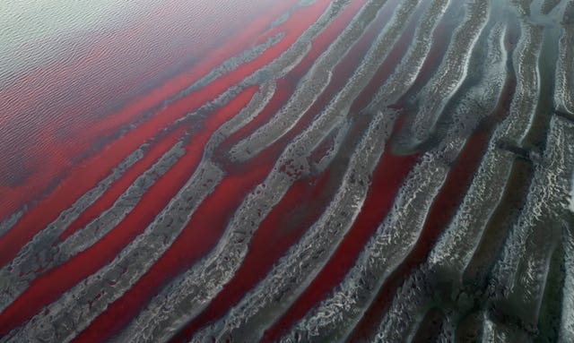 The banks of the Rio de la Plata are dyed red