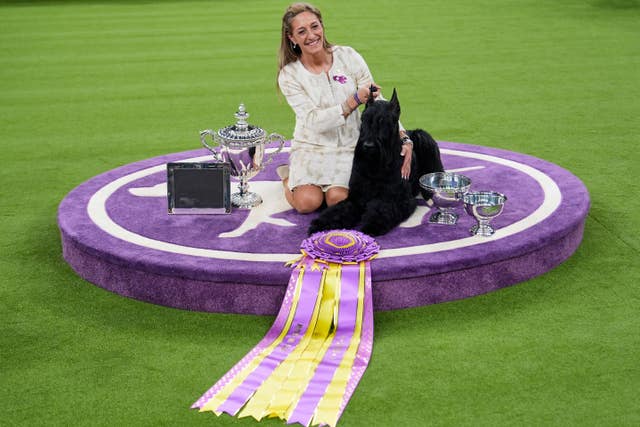 Monty, with his owner, and the trophy, on the podium