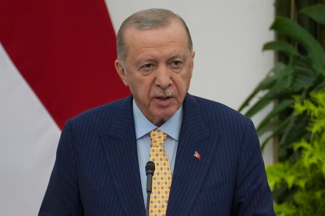 Turkish President Recep Tayyip Erdogan speaks to the media