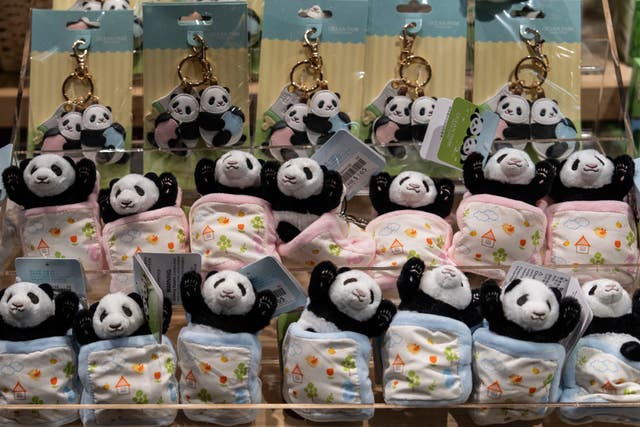 Rows of keychains featuring pandas