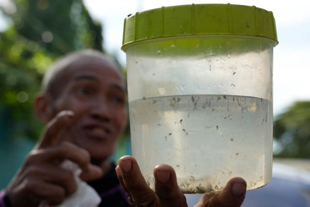 Philippines Dengue Mosquito Bounty