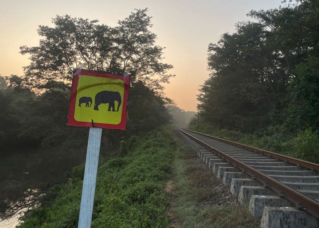 Sri Lanka train line with an elephant warning sign