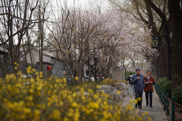 People walk through a lovely garden