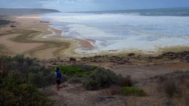 Australia Beach Foam