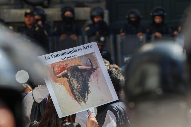 A supporter of bullfighting holds a sign that reads in Spanish 'Bullfighting is an art