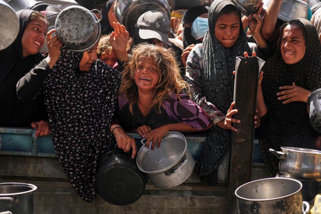 Palestinians struggle to get donated food at a community kitchen