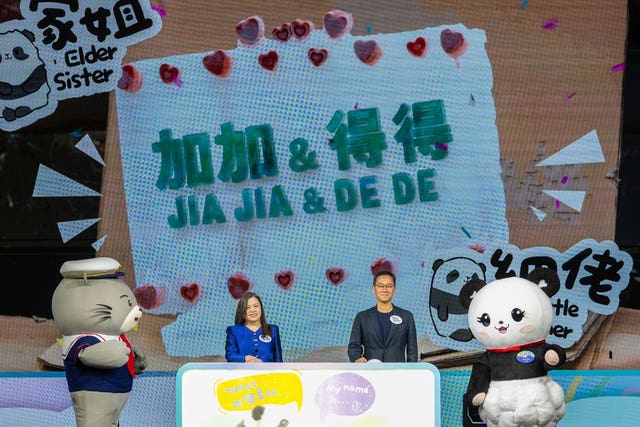The pandas' names displayed on a screen at the naming ceremony in Hong Kong 