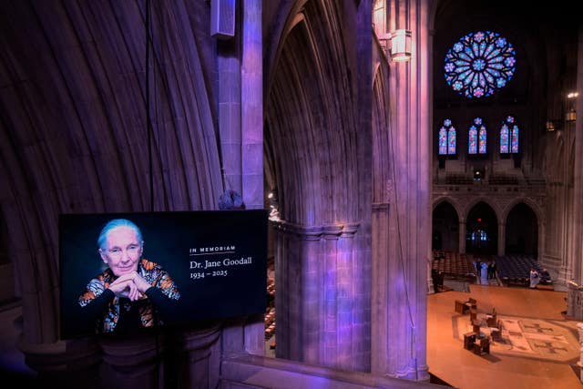Jane Goodall Funeral