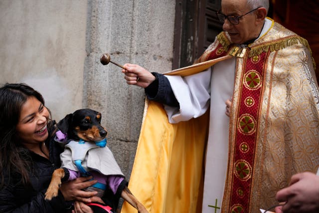 A priest blesses a dog