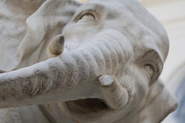 The iconic Elephant and Obelisk monument in Rome, designed by Baroque sculptor Gian Lorenzo Bernini, is seen without the tip of the left tusk 