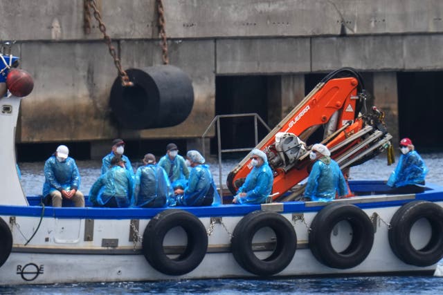 Spain Hantavirus Ship