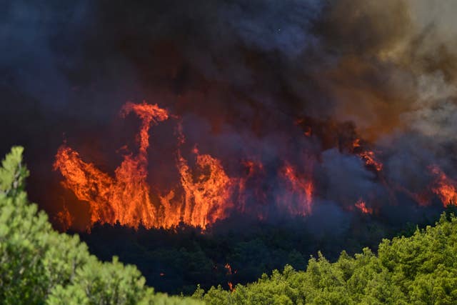 Flames burn through a forest during a wildfire near Porto Germeno