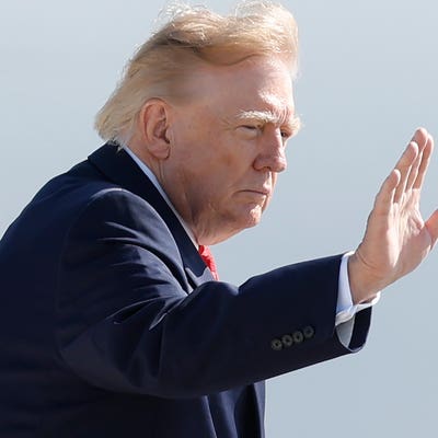 Donald Trump posts footage of man being fatally attacked at UK wildlife park